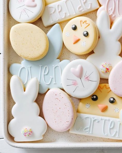 @tinycrumbscookieco on Instagram: "Easter will be here in no time and yes, I will be offering a small presale! Our household is recovering from an awful stomach bug that has totally knocked me on my butt! Hoping to get to some samples soon but in the meantime, here’s a look at last years designs 🐰🐣 . . . . . #cookies #cookieart #decoratedcookies #cookier #cookiesofinstagram #fraservalleycookies #langleycookies #yvr #royalicing #decoratingcookies #sugarart #customcookies #sugarcookies #tinycrum Easter Egg Cookies Decorated, Fancy Sugar Cookies, Easter Sugar Cookies Decorated, Easter Cupcakes Easy, Easter Sweet Treats, Stomach Bug, Easter Egg Cookies, Easter Bunny Cookies, Easter Sugar Cookies