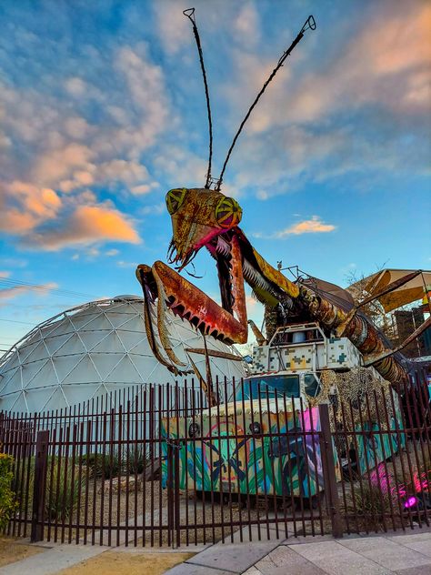 Praying Mantis at Container Park. Las Vegas, NV. 2021 Container Park Las Vegas, Container Park, Praying Mantis, Las Vegas, Travel