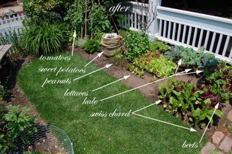 Front Yard Vegetable Garden, Yard Vegetable Garden, Backyard Vegetable Gardens, Garden Types, Edible Landscaping, Vegetable Garden Design, Front Yard Garden, Garden Care, Veggie Garden