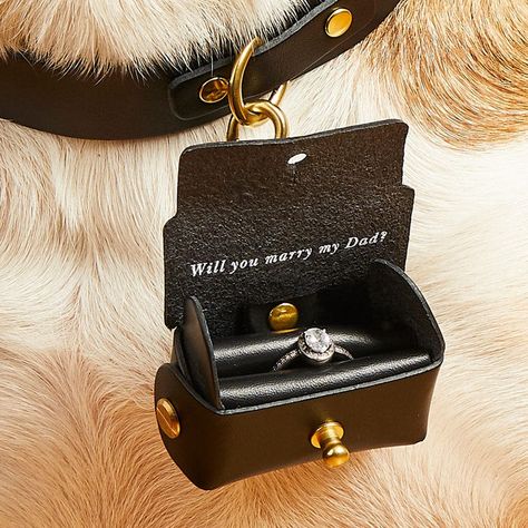 Dog Proposal, Personalized Engagement Rings, Ring Bearer Dog, Creative Proposals, Dog Ring, Ring Bearer Pillows, Wedding Proposals, Future Wedding Plans, Engagement Ring Box