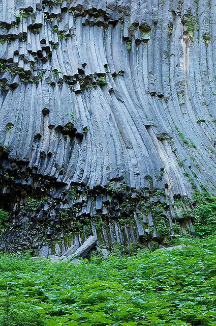 Columnar basalt lava, Klapatche Park Trail, Mount Rainer National Park, Pierce County, Washington by Jeremy Pipe Organ, Learning Tips, Evergreen State, Travel Canada, Rainier National Park, Clearwater Beach, Vintage Gothic, Rock Formations, Taos