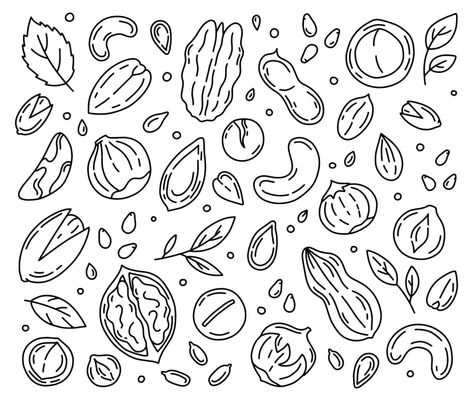 Nuts and Seeds linear set of icons, Doodle style Nuts Doodle, Nuts Drawing, Nut Illustration, Nuts Illustration, Icons Doodle, Letter Tracing Printables, Fruit Doodle, Animal Illustration Kids, Flexible Packaging