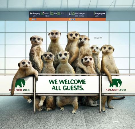 Zoo Cologne: Maarket Zoo Marketing, Zoo Signage, Forks Design, Ad Of The World, Creative Advertising Campaign, Ads Of The World, British Wildlife, Food Poster Design, Insurance Companies