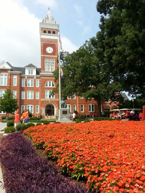 Clemson University. I would do absolutely anything to be able to call this school home. Clemson University Aesthetic, Clemson Aesthetic, Clemson University Campus, Clemson Campus, Augusta University, Clemson Tigers Football, Clemson Fans, College Vision Board, Clemson Football