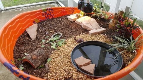 DIY Tortoise Habitat... Just might do this for Voldetort except indoors Tortoise House Indoor Diy, Box Turtle Habitat Indoor Diy, Russian Tortoise Habitat Indoor, Sulcata Tortoise Habitat Indoor, Box Turtle Habitat Indoor, Diy Tortoise Habitat Indoor, Box Turtle Habitat, Tortoise Cage, Turtle Tanks