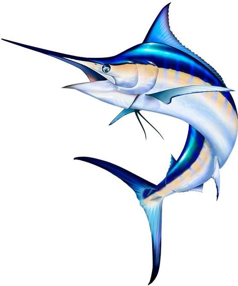 Blue Marlin Fish, Fish Sketch, Marlin Fish, Fish Clipart, Salt Water Fishing, Blue Marlin, Saltwater Fish, Fish Illustration, Fish Logo