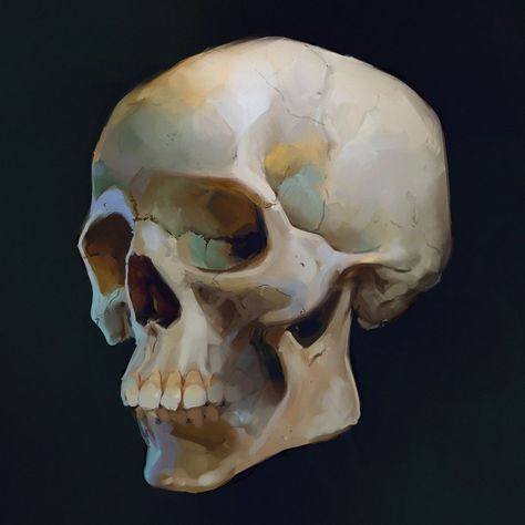 Sinix on Instagram: “Skull paintings from the latest YouTube video!! Go check it out for the full tutorial. The first one is like 70% based on reference, and…” Skull Digital Art, Skull Paintings, Skull Anatomy, Skull Reference, Reference Photos For Artists, A Level Art Sketchbook, Corel Painter, Anatomy For Artists, Skull Painting