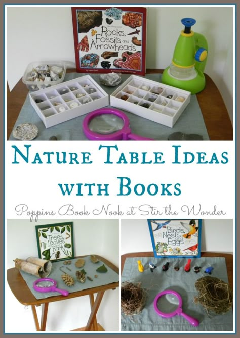 Including nature guides on a nature table is a great way to get young naturalists interested in reading! Science Table, Homeschool Nature Study, Homeschool Nature, Nature Exploration, Nature Studies, Nature School, Invitation To Play, Exploring Nature, Kindergarten Science