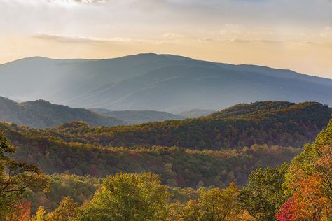 You can now experience the beauty of the Great Smoky Mountains National Park right on your computer, with these desktop backgrounds! 6 Desktop Backgrounds of the Smoky Mountains National Park Granola Desktop Wallpaper, Macbook Air Backgrounds, Unbelievable Pictures, Pictures To Print, Desktop Images, Mountain Wallpaper, Landscape Quilts, Spring Wallpaper, Great Smoky Mountains National Park