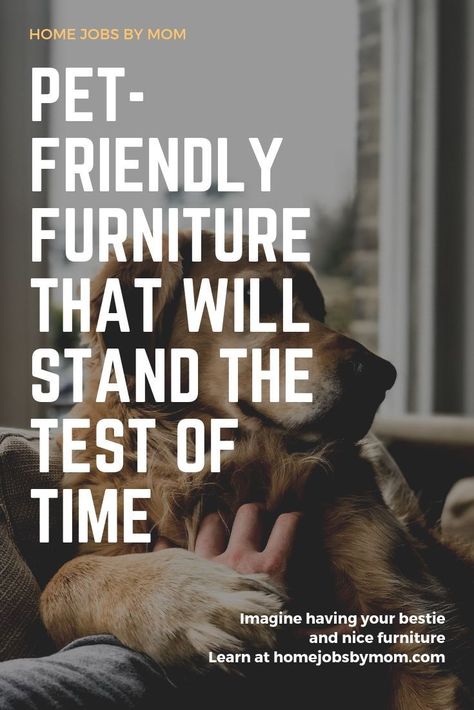 Pet-Friendly Furniture That Will Stand the Test of Time #animalsandpetsupplies #animals #and #pet #supplies Cat Friendly Furniture Living Rooms, Pet Friendly Furniture Living Rooms, Pet Friendly Decor, Pet Friendly Home Ideas, Dog Friendly Furniture Living Rooms, Cat Friendly Furniture, Pet Friendly Living Room, Dog Friendly Furniture, Pet Friendly Furniture