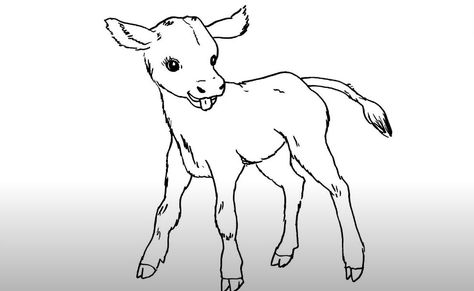 Calves Drawing, Calf Drawing, Drawing Steps, Drawing Instructions, Drawing For Beginners, Drawing Easy, A Pencil, Step By Step Drawing, Drawing Reference