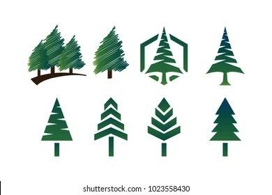 Logo Design Japan, Pine Tree Logo, Tree Logo Design, Branch Vector, Japan Logo, Design Studio Logo, Tree Templates, Tree Logo, Branding Template