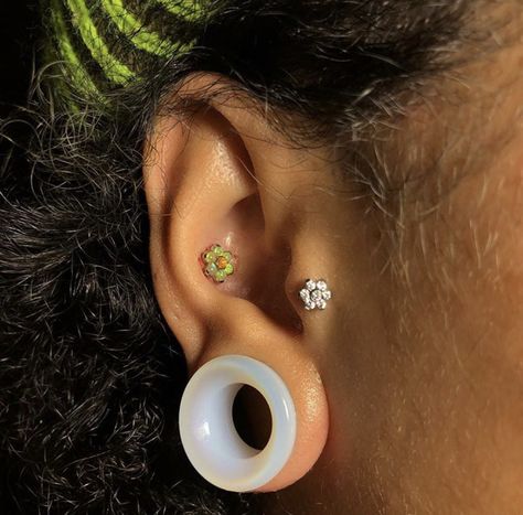 Ear Gauges Black Women, Ear Plugs Aesthetic, Stretched Ears Black Women, Gauges Black Women, Cute Tats, Ear Gauge, Piercing Inspo, Uh Huh, Cute Piercings