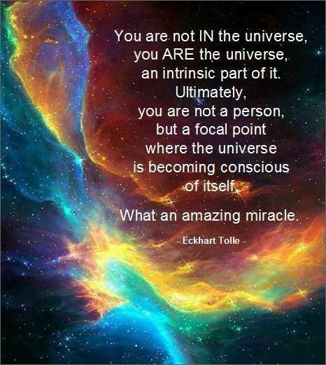 You are not in the universe, you are the universe... Eckart Tolle, Eckhart Tolle Quotes, Be Here Now, Vibrational Energy, Eckhart Tolle, Spiritual Journey, Spiritual Awakening, Way Of Life, Spiritual Quotes