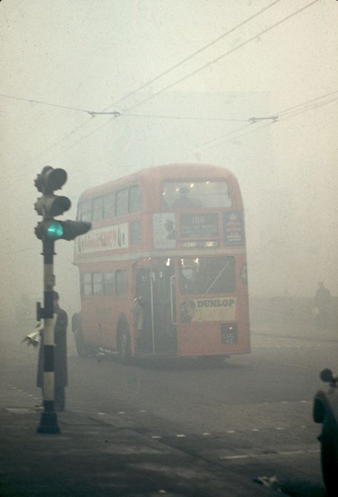 Pea-souper London 1952 Industrial England, Historic London, Historical London, London Buses, Decker Bus, Traffic Lights, London History, Double Decker Bus, London Transport