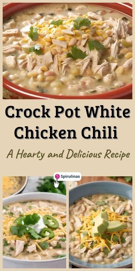 Crock Pot White Chicken Chili Crock Pot Recipes White Chicken Chili, White Chicken Chili Slow Cooker Healthy Crock Pot, White Bean Chili Chicken Crockpot, Rotisserie White Chicken Chili Crock Pot, White Chicken Chili With White Beans, Calhoun's White Chicken Chili, Crockpot White Chili Chicken, White Bean Chicken Chilli In Crock Pot, White Chicken Chili Soup Recipe