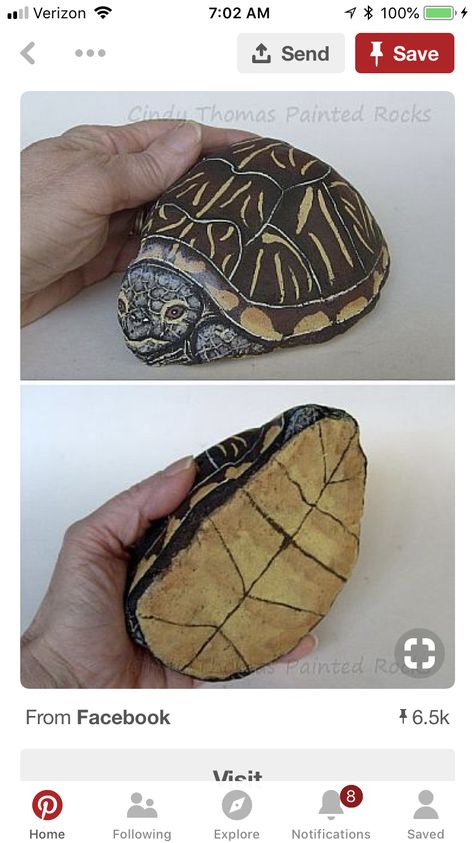 Turtle Painted Rocks Tortoises, Turtle Rocks, Turtle Painted Rocks, Rock Animals, Turtle Rock, Bird Houses Ideas Diy, Diy Rock Art, Rock Flowers, Paint Rocks