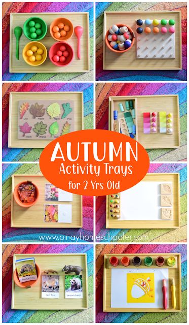 Montessori Table Activities, Themed Shelves, Homeschool Themes, Autumn Themed Activities, Montessori Trays, Fall Crafts For Toddlers, Preschool Thanksgiving, Fall Centers, Montessori Shelf