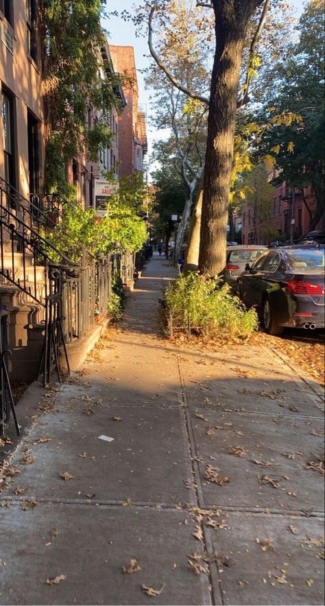 nyc aesthetic brooklyn Houses In Brooklyn New York, New York City Neighborhoods, The Bronx New York Aesthetic, Bronx Nyc Aesthetic, Bronx New York Aesthetic, Bronx Aesthetic, Small New York Apartment Aesthetic, New York Sidewalk, Bronx House