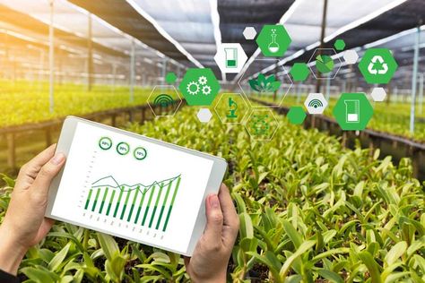 Technology In Agriculture, Agriculture Drone, Smart Farm, Precision Agriculture, Agriculture Business, Agricultural Development, Business Ideas For Beginners, Livestock Farming, Factory Farming