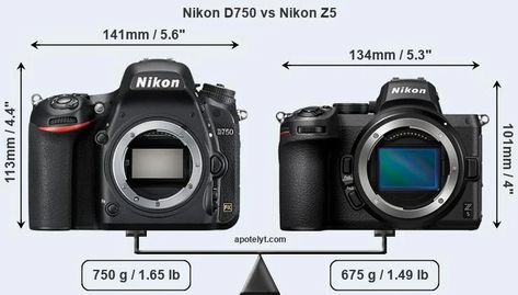 Nikon D750 vs Nikon Z5 Comparison Review Nikon Z6 Ii, Nikon Z5, Nikon Df, Nikon Z6, Nikon D600, Nikon D500, Canon 5d Mark Iv, Nikon D700, Nikon D7200