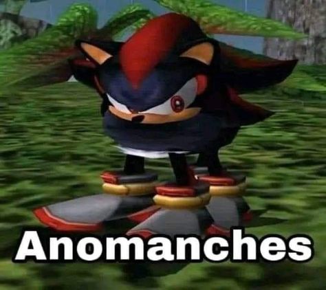 Hedgehog Meme, Moon Cartoon, Shadow Sonic, Sonic Unleashed, Sonic Funny, Sonic Fan Characters, Sonic 3, Sonic Franchise, Sonic Adventure