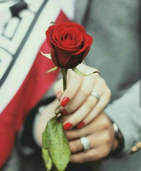 Uploaded by 𝑁𝑢𝑢𝑟♕. Find images and videos on We Heart It - the app to get lost in what you love. Image St Valentin, Rose Day Pic, Love Rose Flower, Red Roses Wallpaper, Rose Day, Romantic Couple Images, Love Heart Images, Couple Hands, Bridal Flower Crown