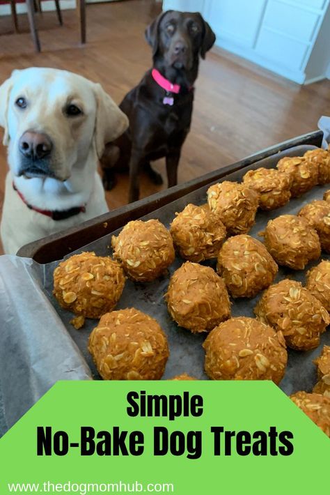 Bake Dog Treats, No Bake Dog Treats, Dog Treats Homemade, Dog Treats Recipe, Soft Dog Treats, Homemade Dog Cookies, Dog Cake Recipes, Pet Treats Recipes, Dog Treats Homemade Easy