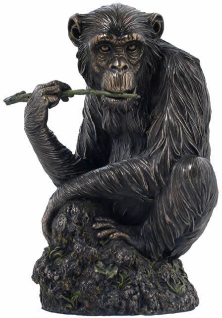 Monkey Pottery, Monkey Sculpture, Monkey Statue, Figurine Sculpture, Outdoor Garden Statues, Ancient Statues, Pet Monkey, Animal Statues, Horse Sculpture