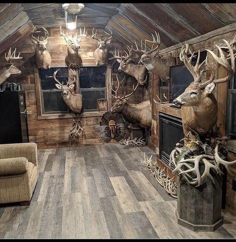 Deer Mounts In Living Room, Trophy Rooms Hunting, European Deer Mount Ideas, European Deer Mount, Skull Mount Ideas, Turkey Hunting Decor, Hunting Room Design, Hunting Room Decor, Deer Mount Decor