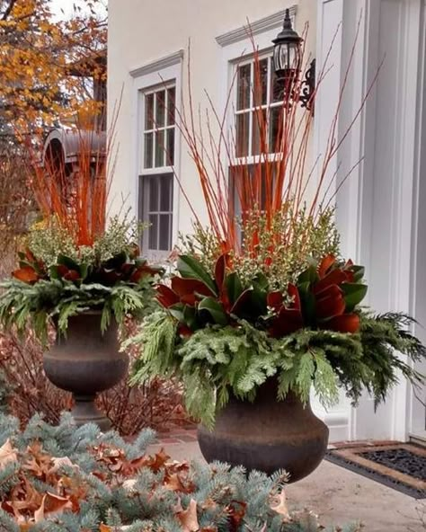 Autumn Winter Planter Ideas, Fall Decor Planter Ideas, Outdoor Christmas Urns Planters, Outdoor Urns For Christmas, Outside Planters For Christmas, Christmas Potted Arrangements, Outdoor Planters Christmas, Holiday Planter Ideas, Christmas Porch Planter Ideas