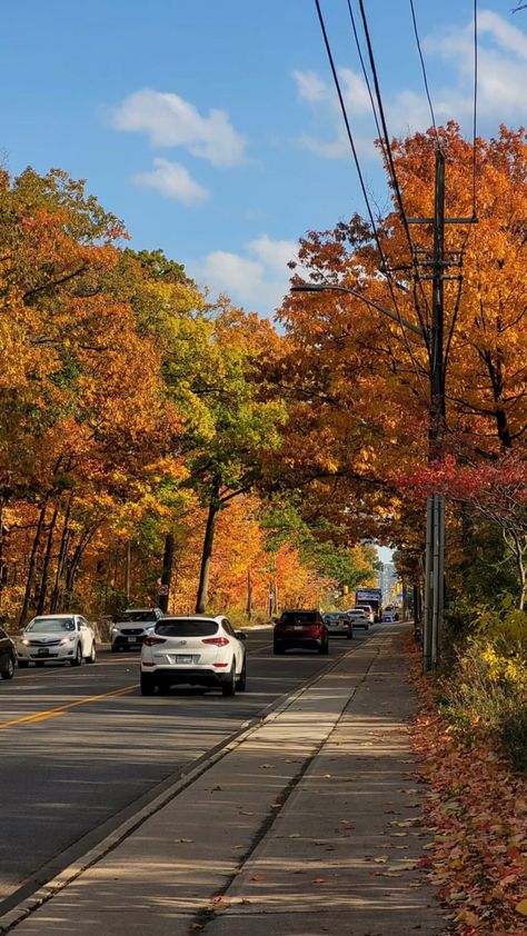 Canada Landscape Photography, Canada Nature Photography, Canada Aethstetic, Canada Fall Aesthetic, Canada Vibes Aesthetic, Canada Lifestyle Aesthetic, Life In Canada Aesthetic, Canada Life Aesthetic, Travel Aesthetic Canada