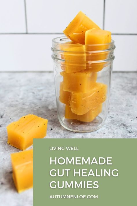 Homemade Orange Juice, Healthy Gummies, Homemade Gummies, Fruit Leather Recipe, Gummies Recipe, Gelatin Recipes, Beef Gelatin, Gut Healing Recipes, Healing Recipes