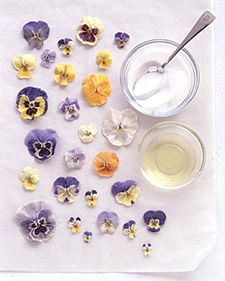 Tasting Pansies - Martha Stewart Dessert  -sugaring fresh flowers! Edible Flowers Recipes, Candy Flowers, Home Decor Garden, Spring Celebration, Flower Cupcakes, Flower Food, Köstliche Desserts, Designer Home, Pinterest Blog