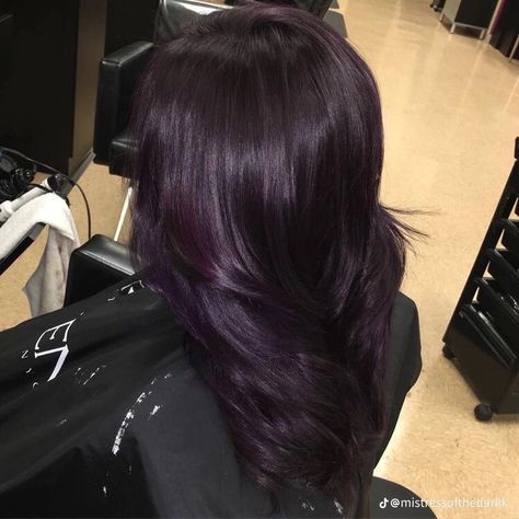 Dark Violet Hair, Dark Purple Hair Color, Purple Hair Dye, Violet Hair Colors, Hair Color Plum, Dark Purple Hair, Dyed Hair Purple, Plum Hair, Violet Hair