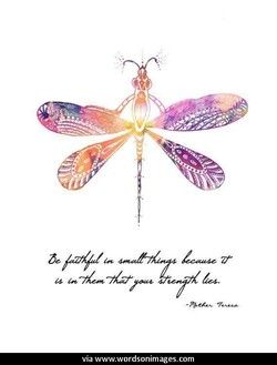 Quotes about Dragonflies (62 quotes) Bernardo Y Bianca, Dragonfly Meaning, Small Inspirational Tattoos, Dragonfly Symbolism, Dragonfly Quotes, Meaning Quotes, Mother Teresa Quotes, Dragonfly Dreams, Meant To Be Quotes