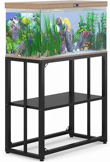 Amazon.com : 10 gallon fish tank stand Fish Tank Stand Ideas Diy, 10 Gallon Fish Tank, Fish Tank Stand, Tank Stand, Aquarium Stand, Fish Tank, Better Living, Fish, Living Room