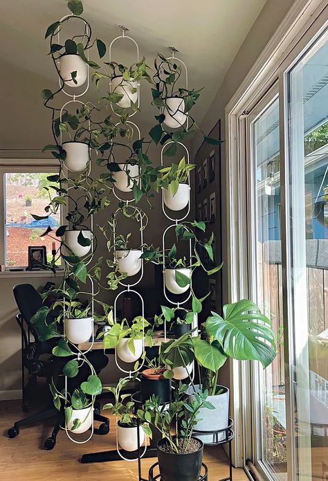 Ikea Inspo, Vertikal Garden, Indoor Plant Wall, Drought Resistant Plants, Hanging Plant Wall, Plants Wall, Hanging Plants Indoor, Plants Decor, Plant Decor Indoor