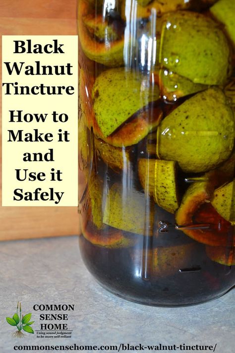 Black Walnut Tincture, Walnut Tincture, Parasite Cleanse, Herbal Tinctures, Natural Healing Remedies, Baddie Nails, Cough Remedies, Natural Therapy, Healing Herbs