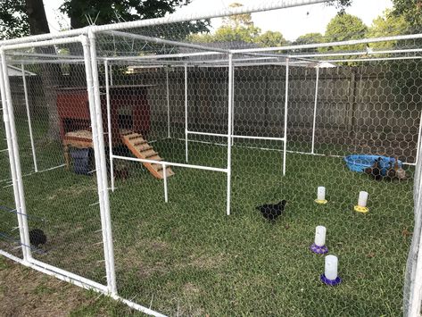 Chicken/duck run made from pvc. Chicken coup repurposed an old coffee table we still had. Added walls and roof with nesting box and roost inside. Pvc Pipe Chicken Coop, Pvc Chicken Coop, Inside Chicken Coop Ideas, Appleyard Ducks, Chicken Coop Top Netting, Pvc Chicken Run, Diy Duck Coop Pallets, Corrugated Metal Chicken Run, Chicken Run Door