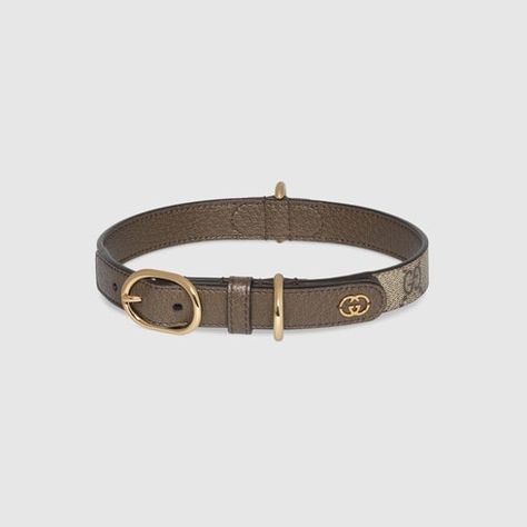 Gucci Pet, Collar For Cats, Digital Gifts, For Cats, Dog Accessories, Pet Collars, Gift Wrapping, Gucci, Pet