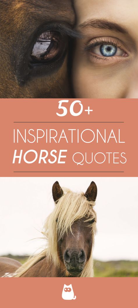 Horses Love Quotes, Christian Horse Quotes, Instagram Horse Captions, Horse Inspirational Quotes, Horse Sayings Inspiration, Short Horse Quotes Inspirational, Beautiful Horse Quotes, Horse Quote Tattoo, Equine Quotes Inspiration