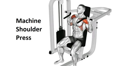 Machine shoulder presses are an adaptation of the barbell seated shoulder press, which is used to strengthen the shoulder muscles. A person can use a machine for shoulder press to execute the pressing pattern, with the concentration on isolating shoulders. You can isolate certain muscles with machines due to their rigid movements. The shoulder press machine […] Seated Shoulder Press, Body Pump Workout, Shoulder Press Machine, Pump Workout, Dumbbell Shoulder Press, Compound Exercises, Body Pump, Chest Muscles, Shoulder Muscles