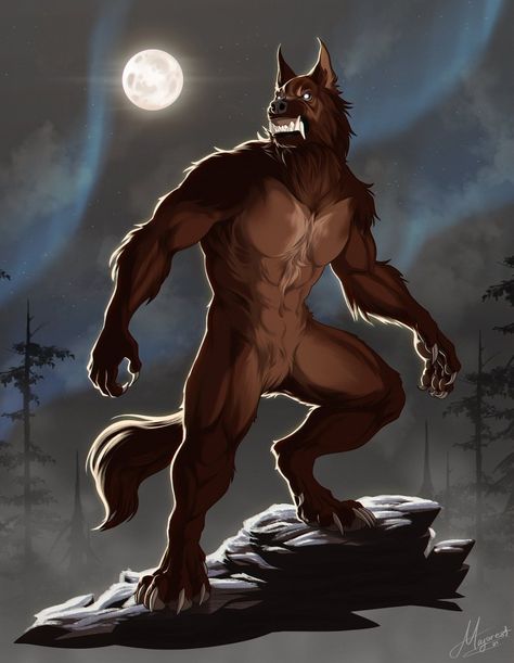 Werewolf Aesthetic, Fantasy Wolf, Spirit Animal Art, Werewolf Art, Vampires And Werewolves, Canine Art, Fantasy Beasts, Wolf Pictures, Mythical Creatures Art