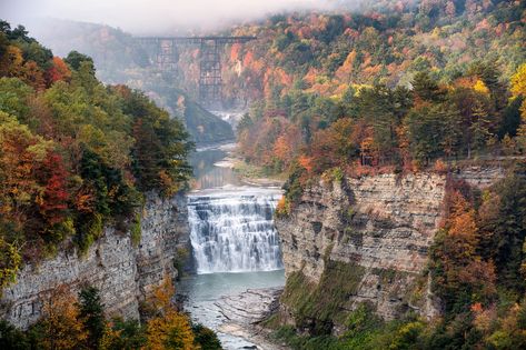 Letchworth State Park - Grand Canyon of the East - Fall Colors: Canon SLR Lens Talk Forum: Digital Photography Review Best Cameras For Travel, Letchworth State Park, Photography Reviews, Travel Camera, Best Camera, Mobile Photography, Digital Photography, Large Prints, Grand Canyon