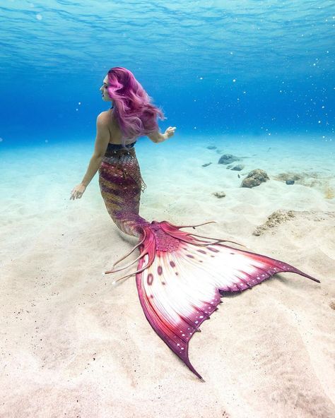 Realistic Mermaid, Mermaid Cosplay, Sea Background, Mermaid Photography, Fantasy Mermaids, Mermaid Core, Mermaid Swimming, Mermaid Under The Sea, Mermaid Pictures