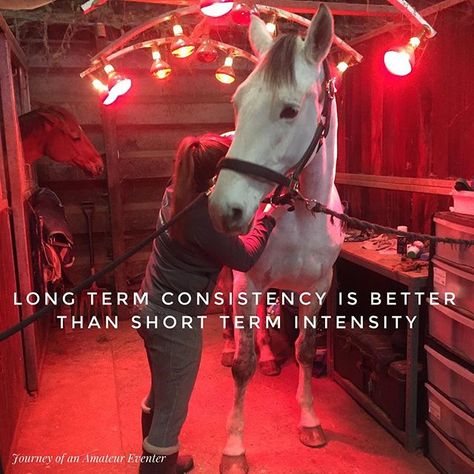 Equestrian Fitness, Equine Vet Tech Aesthetic, Horse Veterinarian Aesthetic, Equine Physiotherapy, Horse Physiotherapy, Equine Therapy Quotes, Horse Massage, Equine Massage, Equine Veterinary