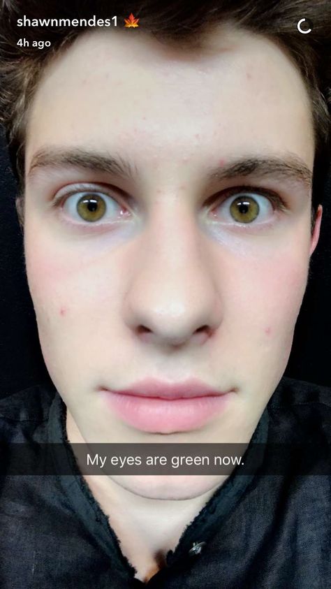 Close up of Shawn Mendes on his Snapchat lol Shawn Mendes Eyes, Shawn Mendes Snapchat, Shawn Mendes Funny, Shawn Mendes Imagines, Hazel Eyes, Kids Pictures, Shawn Mendes, Future Husband, Green Eyes