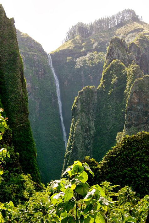 Vaipo waterfall is located on the island of Nuku Hiva in the Marquesas Islands, French Polynesia.  Although it appears that the horse-tail shaped waterfall does not even touch the ground it drops down a mere 350m, making it the highest waterfall of Polynesia. Nuku Hiva, Marquesas Islands, Horse Tail, Beautiful Places In The World, French Polynesia, Tahiti, Most Beautiful Places, Beautiful Places, Favorite Places