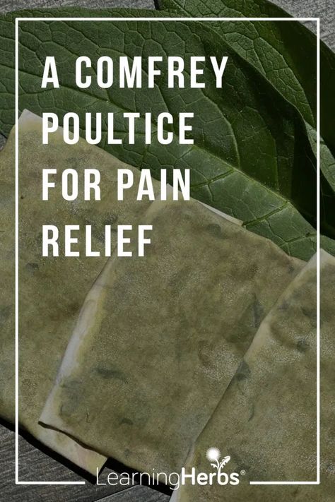 How to Make an Herbal Poultice with Comfrey – LearningHerbs How To Make A Poultice, Comfrey Oil How To Make, How To Use Comfrey Leaves, Diy Comfrey Salve, Poultice For Inflammation, Comfrey Compress, Poultice Recipes, Potato Poultice, Comfrey Salve Recipe